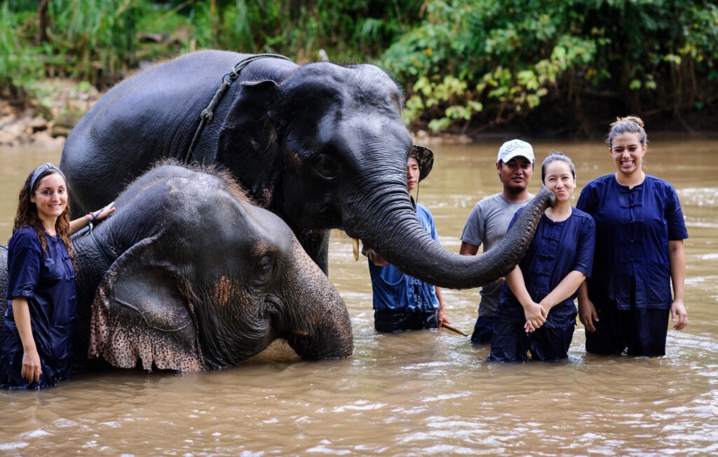 Wildlife Conservation Project